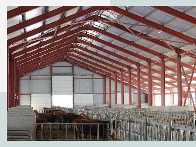 Строительство коровников в Тихорецке