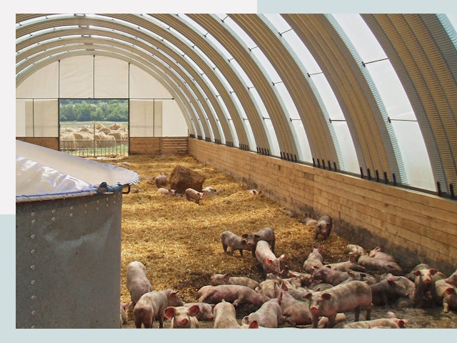 Строительство свинарников в Тихорецке