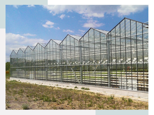 Строительство теплиц в Тихорецк от 618 руб. за м²