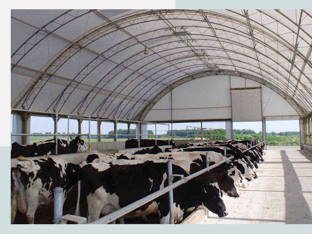 Тентовые коровники в Тихорецке